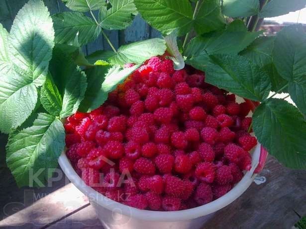 Продам дачу Кок-Лай-Сай