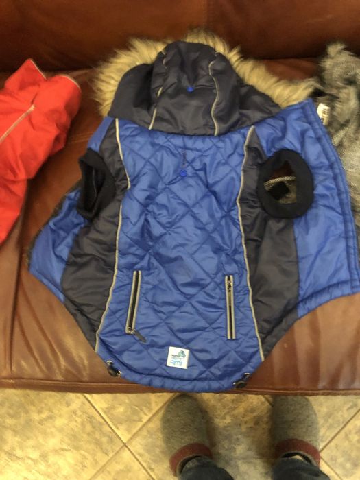 Haine catelusi  de talie mica