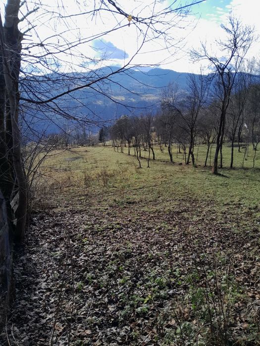 Teren cabana intravilan Albac 1400 mp CF panoramic