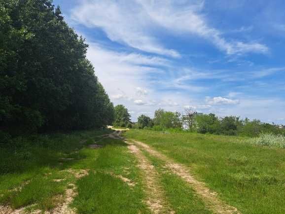 Продава се Парцел в Бяла - 8600 кв.м за 71 €/кв.м - Снимка #3