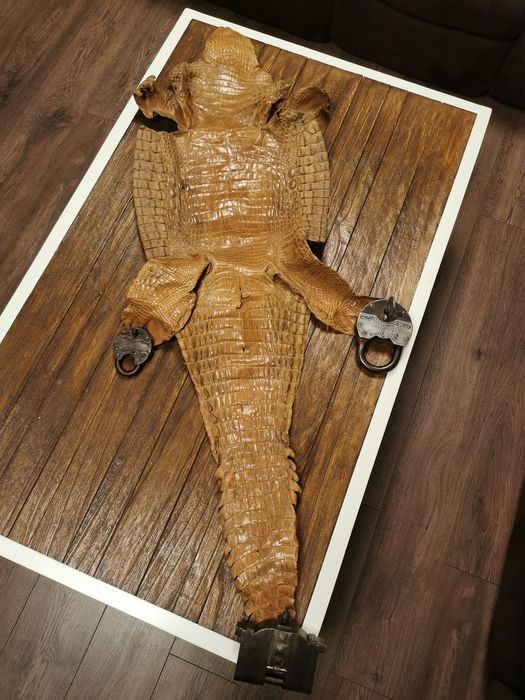 Обработена кожа 145 см.