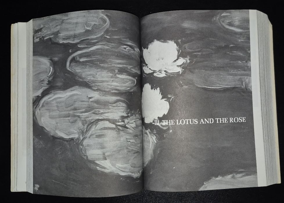 The Mythic Image – Joseph Campbell (Princeton University Press)