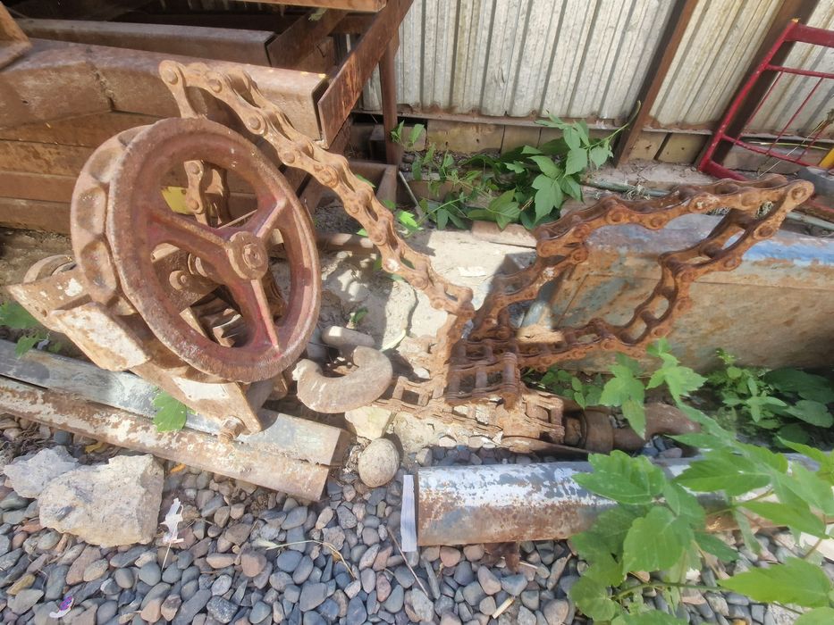 Продам срочно лебенка