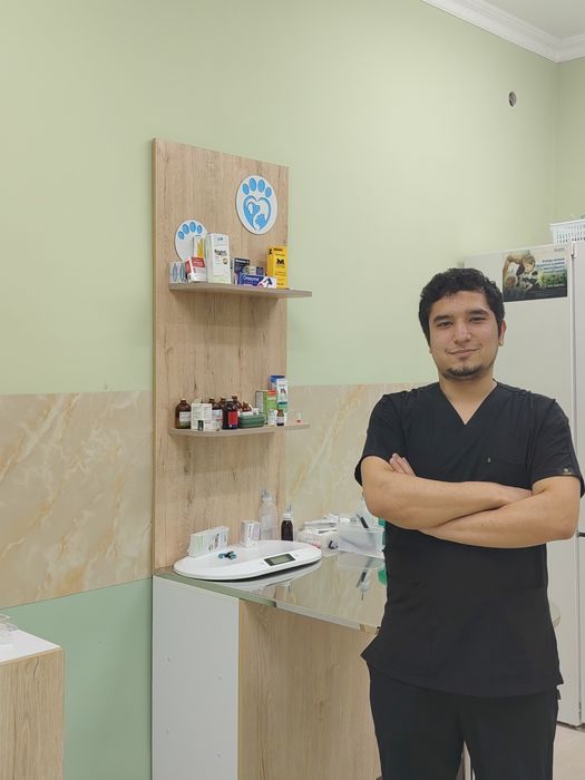 Mushuklaringiz sog'lig'ini oylovchi veterinar doctor