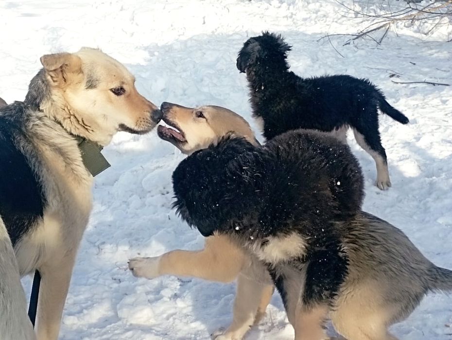 Только ответственным людям