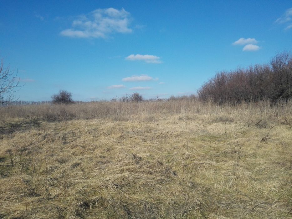 Парцел в регулация