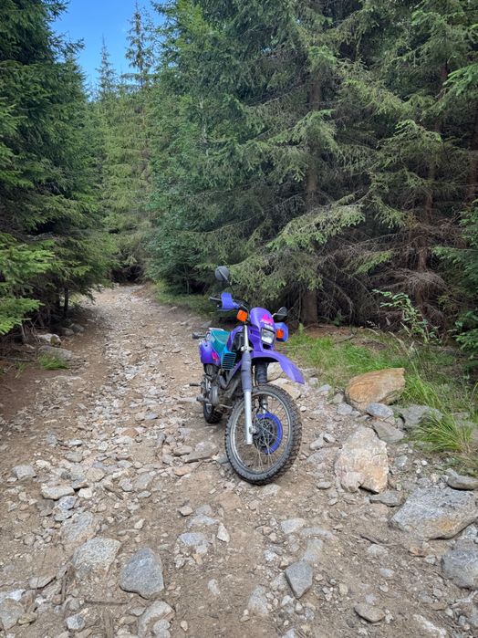 Yamaha XT 600 e, Enduro, Motor de teren fiabil