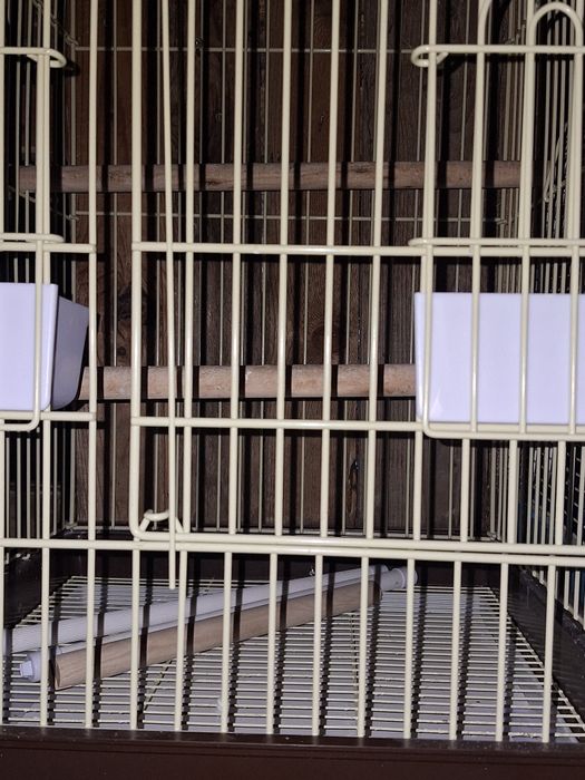 Vand colivie , voliera, cusca pentru pasari  papagali