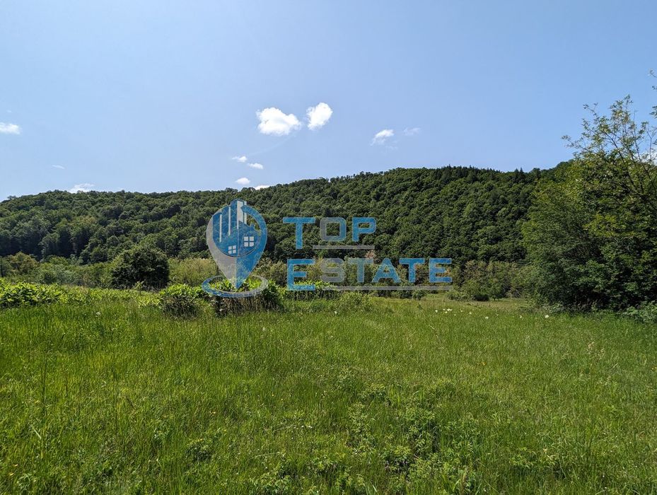 Продава се Парцел в с. Войнежа, Област Велико Търново - 2300 кв.м за 5 €/кв.м - Снимка #6