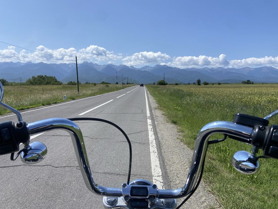 Harley Davidson softail standard
