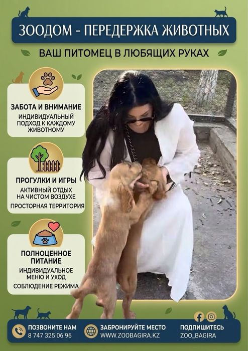 Передержка мелких пород собак ( орбита ) зооотель