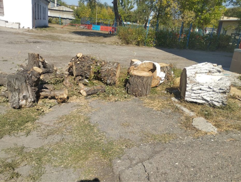 Продам дрова много
