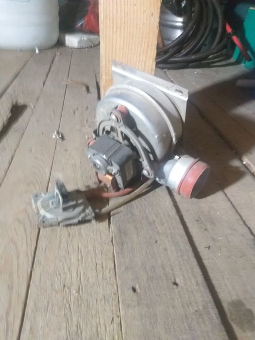 Incubator profesional