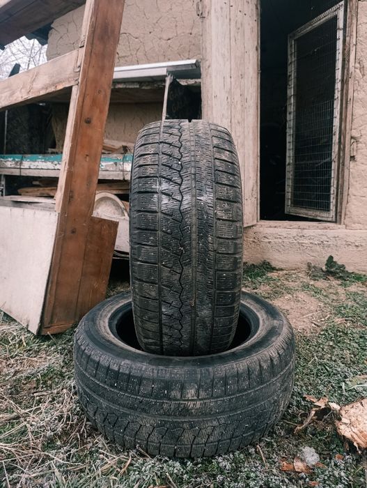 Буу в хорошем качестве  город Алматы