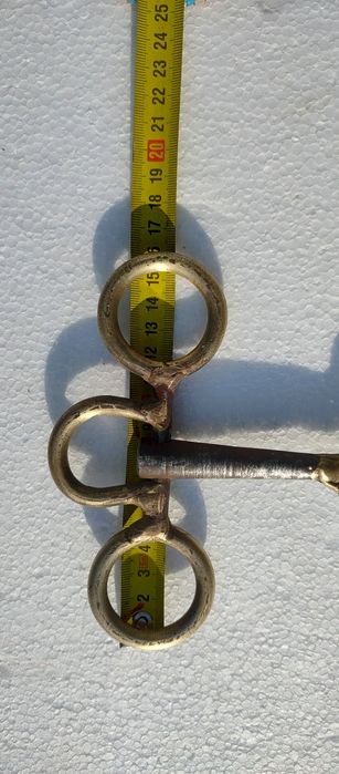 Zabala nemțească/strună cal