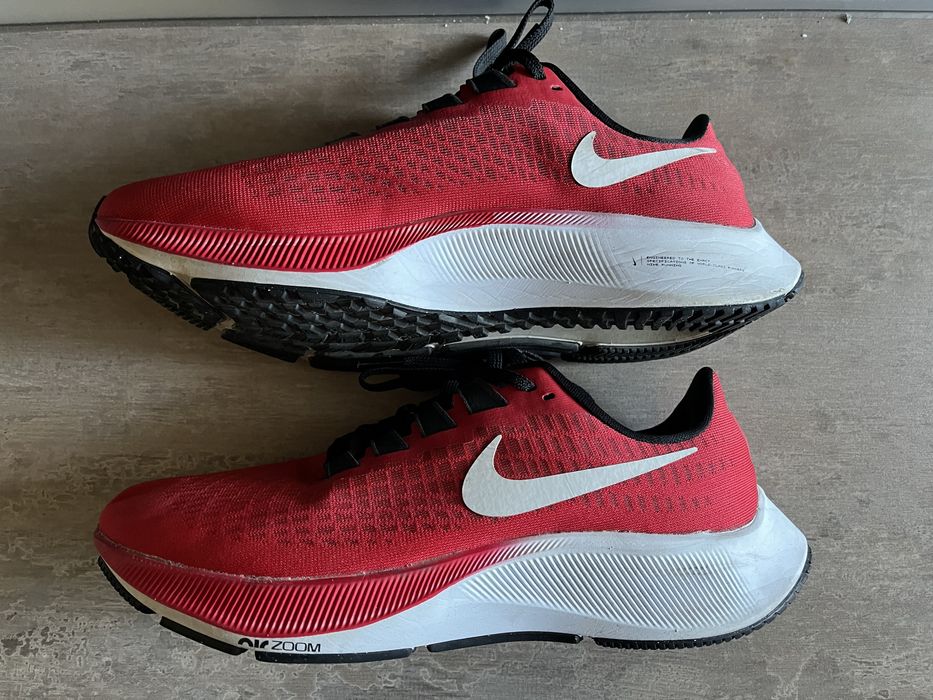 Nike Air Zoom Pegasus