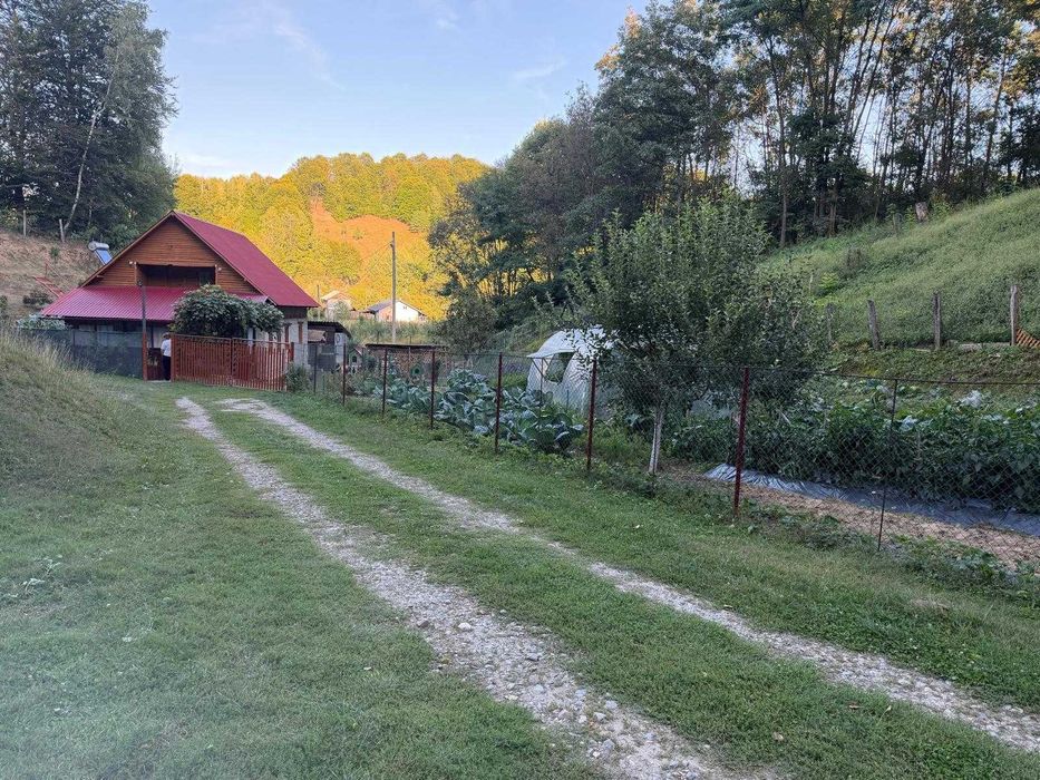 Vand casa aproape de Transfagarasan /Vidraru