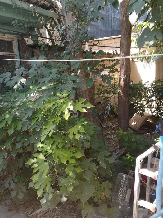 Срочно продаётся