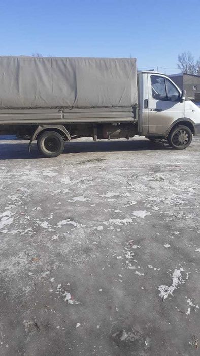 Газел гурзавой г