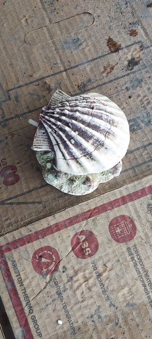 Декор в аквариум. Б/У.  3000 тг.