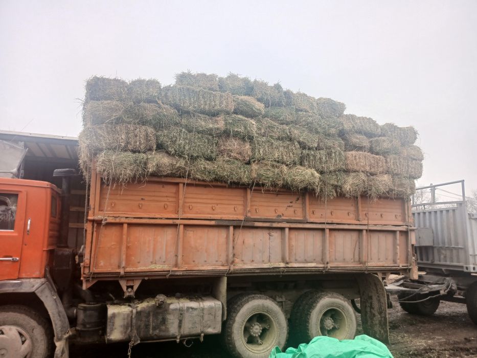 Жонышқа сатылады 3укос