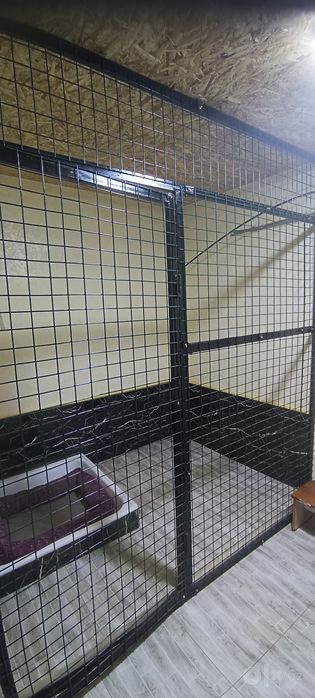 Передержка домашних питомцев ,к каждому хвостику индивидуальный подход