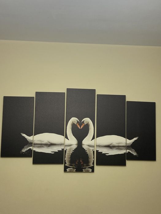 Tablou canvas lebede 70/120