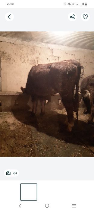 Продается срочно