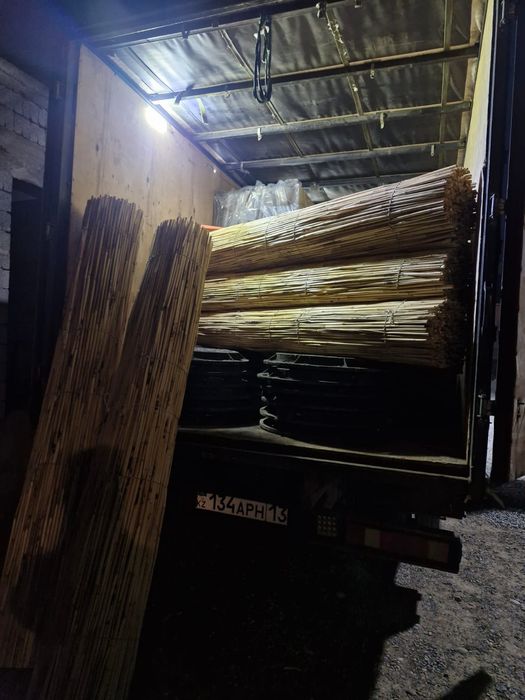 Декоративный камыш !!!