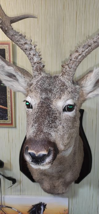 Охотничий сувенир