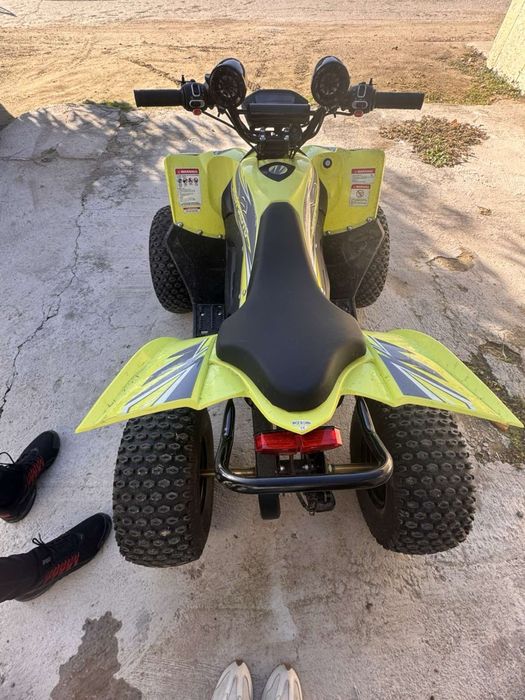 ATV електрическо 3000W
