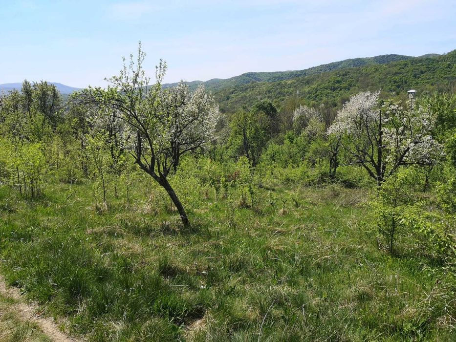 Vand teren intravilan Orsova, jud. Mehedinti