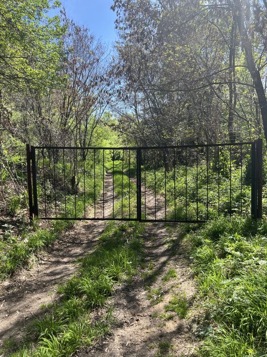 Продам яблоневый сад