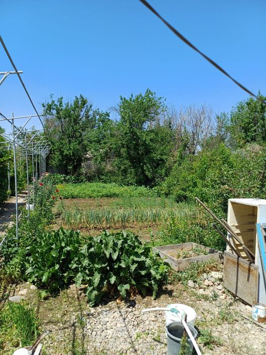 Продам дачу, торг уместен