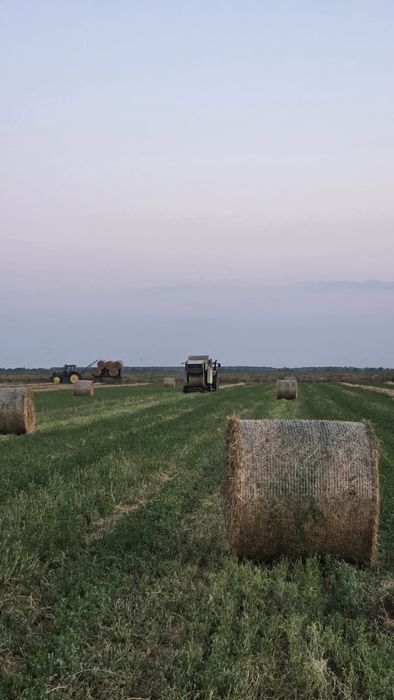 Baloti Lucerna 120/120 de vanzare