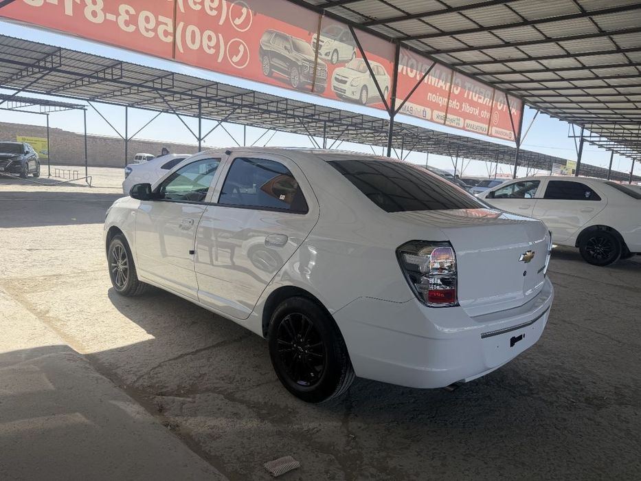 Ковалт Миднайт 2025