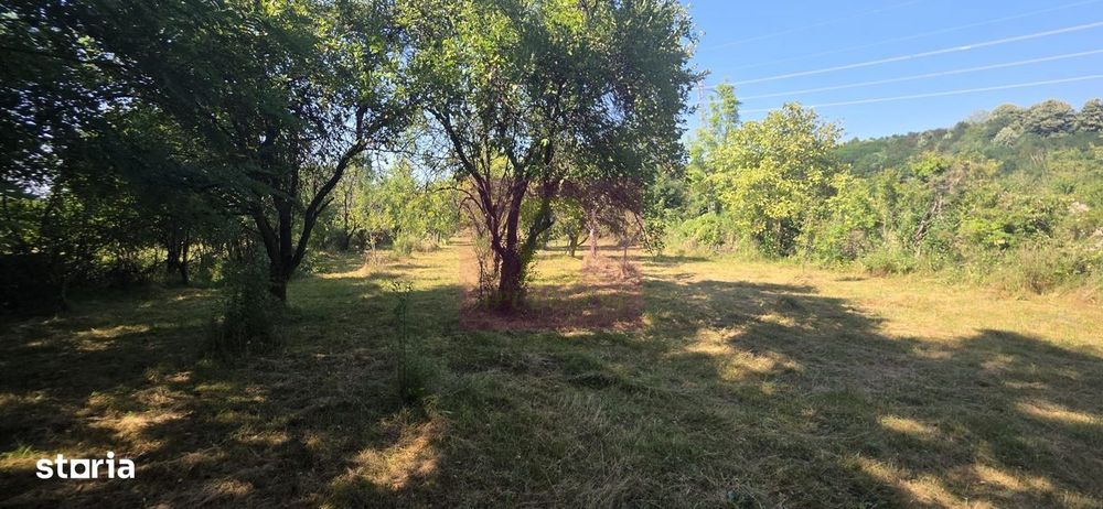 Teren intravilan de vanzare 3375 mp in Brebu