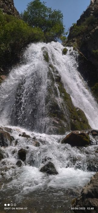 Taxi Bochka amirsoy Chimyon Parkent soʻqoq boʻstoliqlargi Arzon sifat