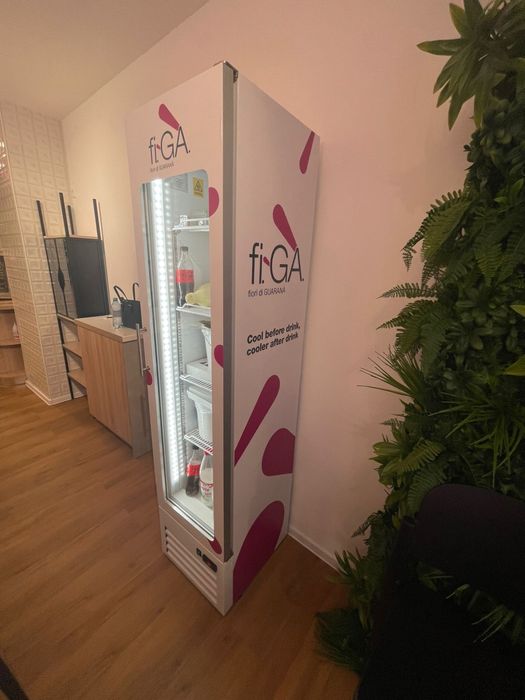 Vitrină refrigerare cu o ușă / Profesionala