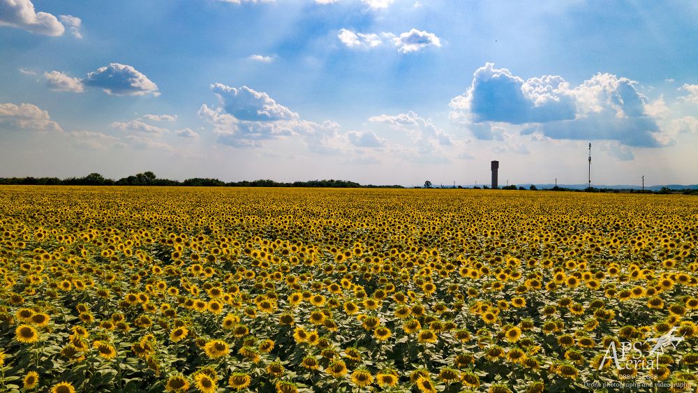 Заснемане с дрон