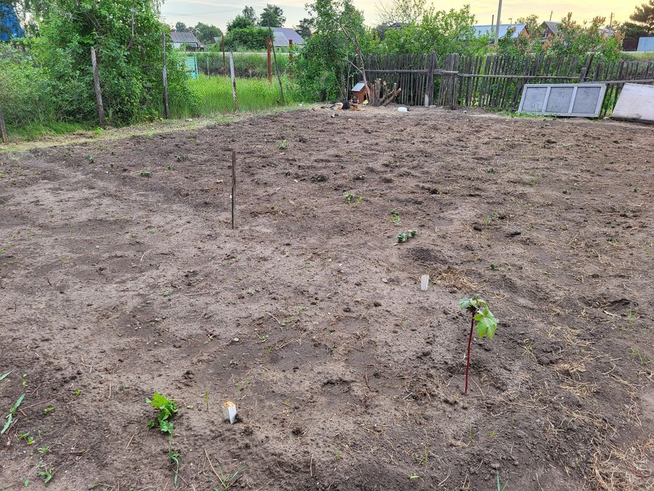 Продам дачу 8 соток