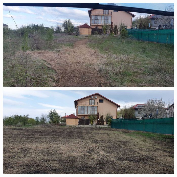 Igienizare, defrisare, curatare terenuri, vegetatie, ambrozie