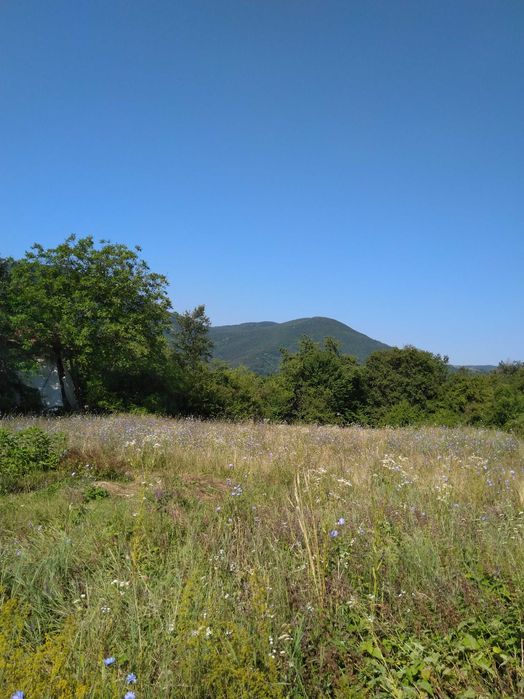 Продава се Гараж / Паркомясто в София, Надежда 3 - 1680 кв.м за 15 €/кв.м - Снимка #7