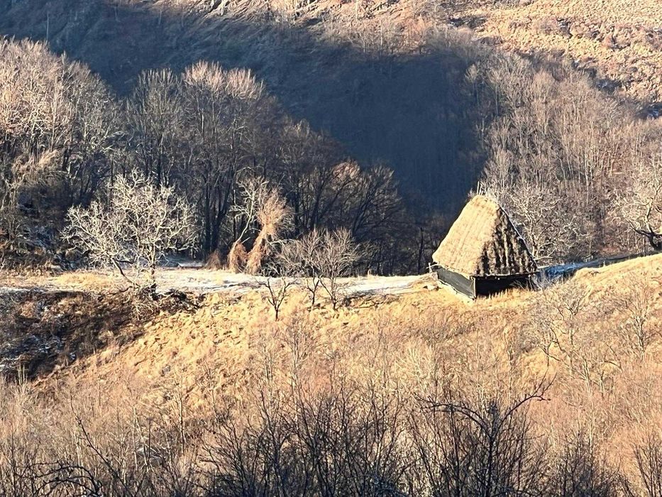 Teren de vanzare pe Transalpina de Apuseni