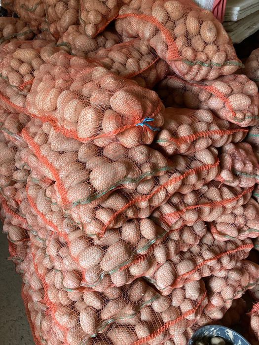 Cartofi consum  rosu si alb