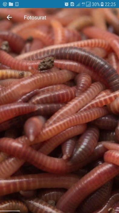 Биогумус biogumus arzon