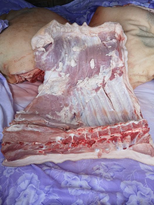 Мясо свинина домашняя