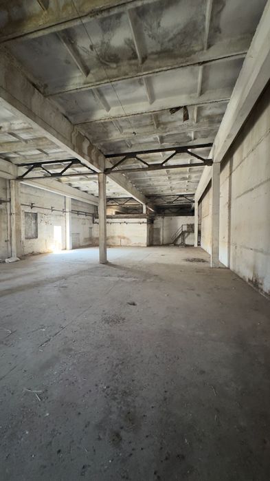 The factory space of 62,000 square meter with refrigerator for 500 ton