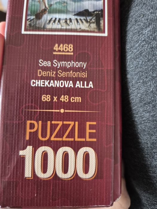 Пъзел от 1000 части