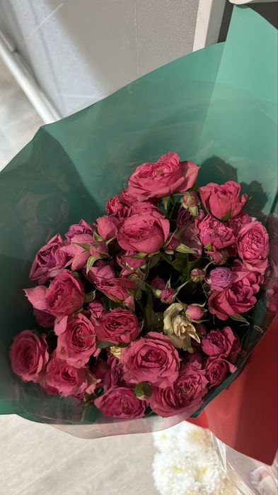 Продам цветы свежие